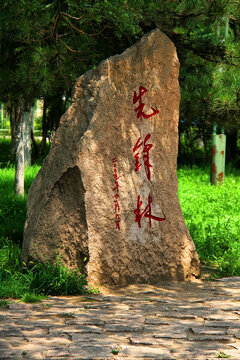 先锋林景观石