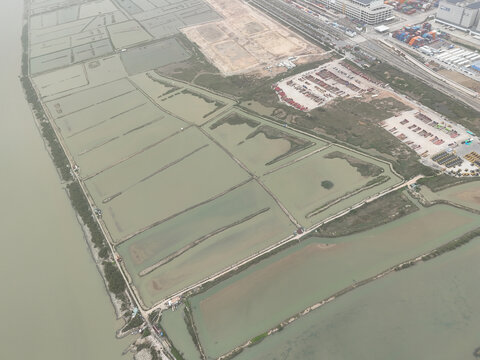 珠江口水产养殖
