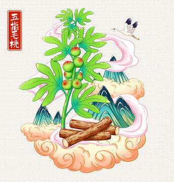 五指毛桃插画手绘