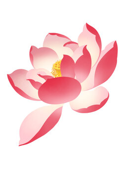唯美手绘风盛开粉色莲花