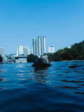 广州湖边的城市建筑和倒影