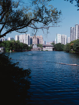 广州湖边的城市建筑和倒影