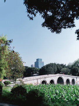 广州湖边的城市建筑和倒影