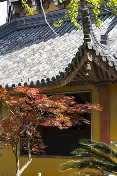 苏州报恩寺