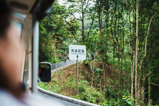 通往天池花海的林间路