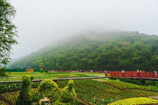 雾中花园红桥景