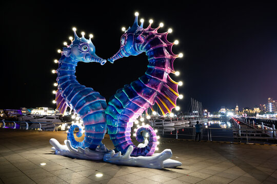 大连东港游艇码头的海马灯光雕塑