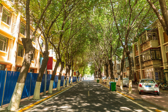 大学校园