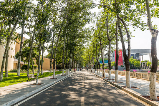 大学校园