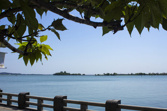 柳叶湖湖景