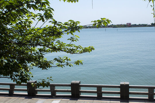 柳叶湖湖景