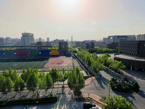 城市中绿意盎然的操场景观