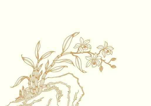 铁皮石斛