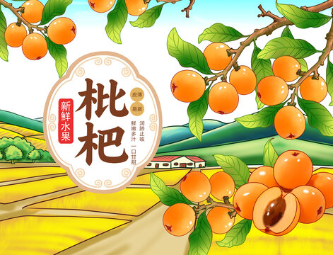 枇杷包装插画