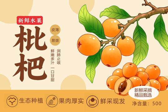 枇杷包装