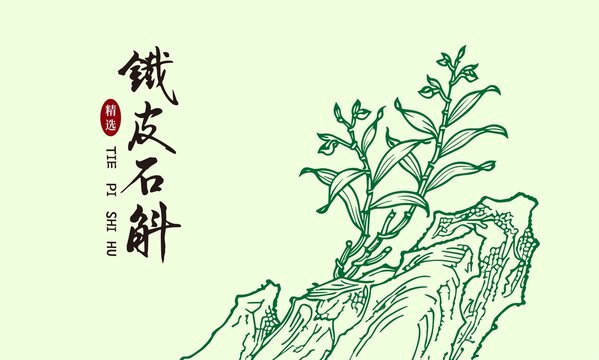 铁皮石斛