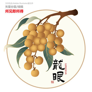 原创龙眼矢量插画设计元素