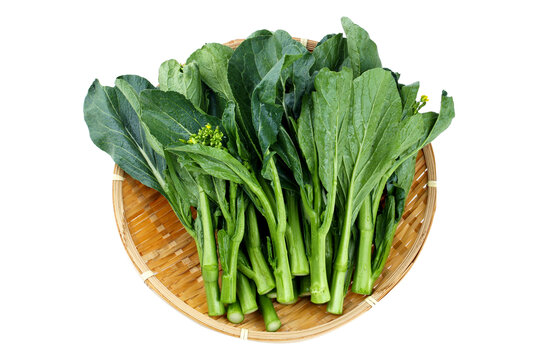 板蓝根菜心