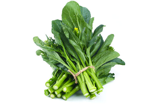 板蓝根菜心