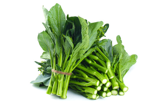 板蓝根菜心