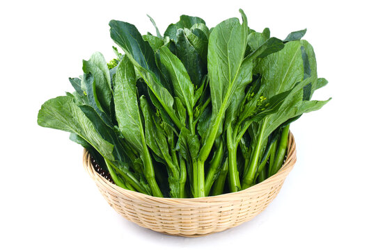 板蓝根菜心
