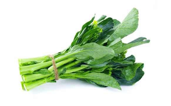 板蓝根菜心