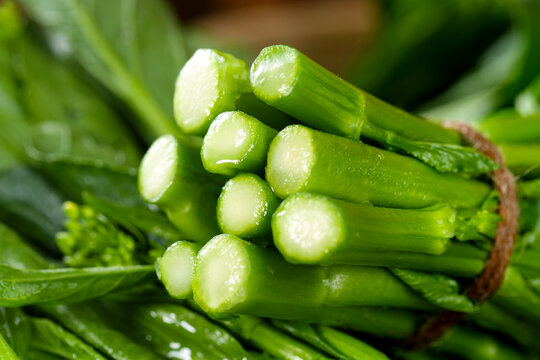 板蓝根菜心