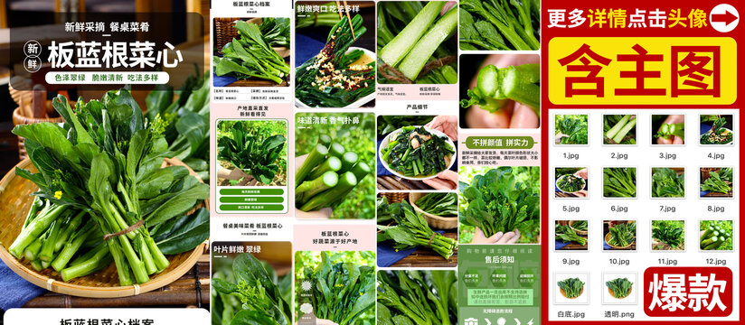 板蓝根菜心详情页
