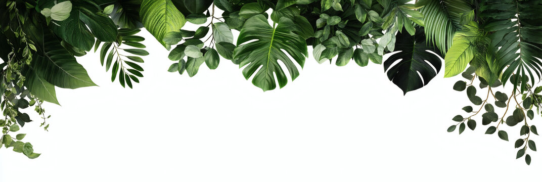 热带绿色植物叶子边框设计