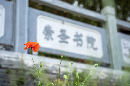 盱眙第一山公园崇圣书院