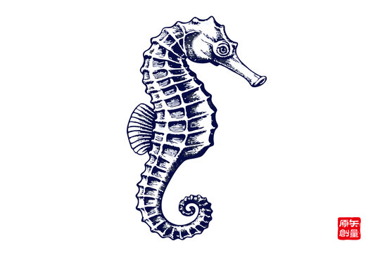 手绘线条风海马图案