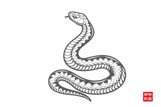 黑白风格手绘蛇图案