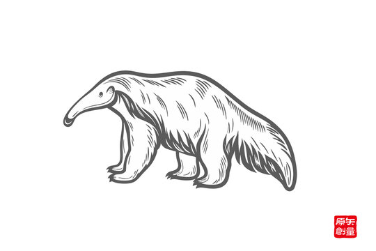 食蚁兽黑白线条插画