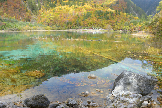 九寨沟五花海多彩海子和秋天彩林