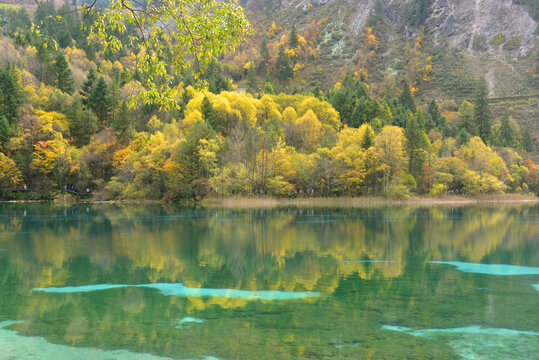 九寨沟五花海多彩的秋林和湖水