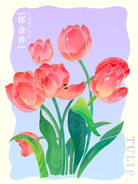 春天花卉花朵背景手绘郁金香图案纹样插画