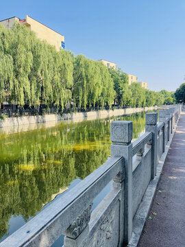 河畔垂柳下的静谧步道