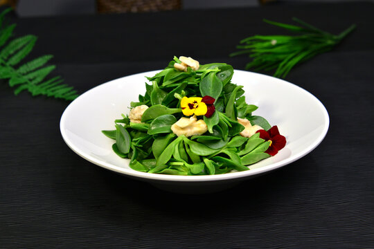 清新爽口穿心莲凉拌菜