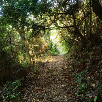 山路