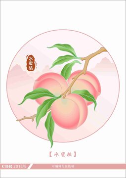 水蜜桃插画
