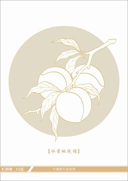 水蜜桃线稿
