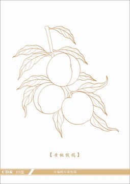 黄桃线稿