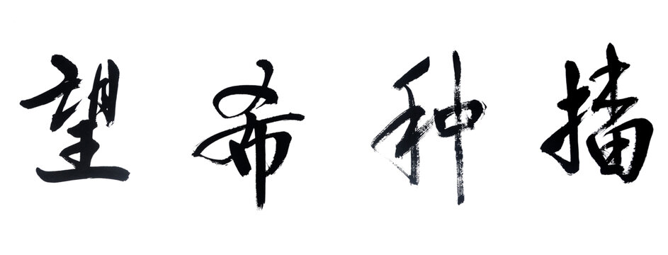 播种希望