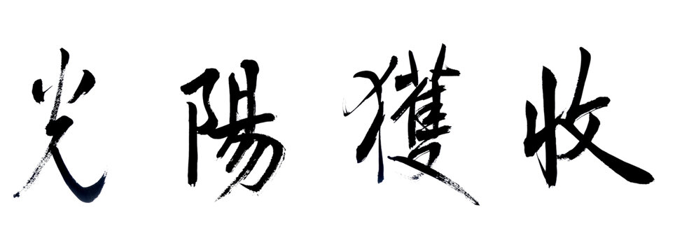 收获阳光