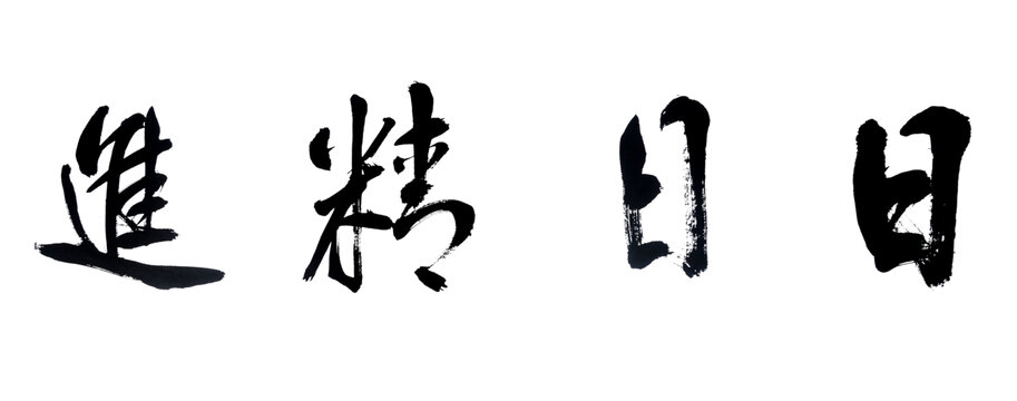 日日精进