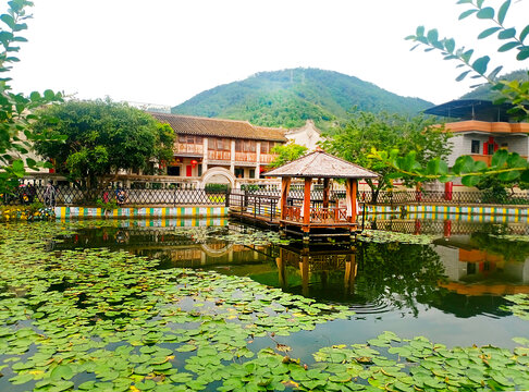 农家小院