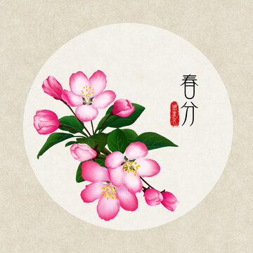 24节气之春分海棠花
