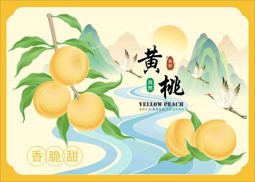 黄桃包装