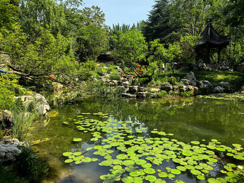 中式园林池塘景致