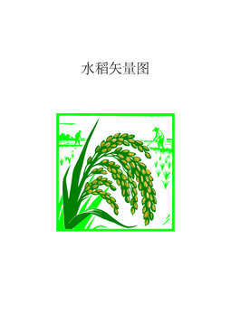 水稻矢量图